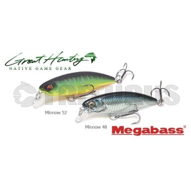 GREAT HUNTING MINNOW WORLD SPEC