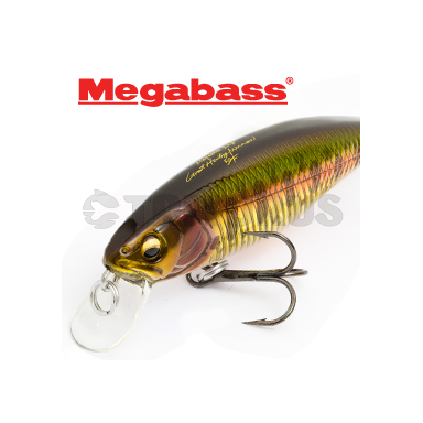 GREAT HUNTING MINNOW WORLD SPEC