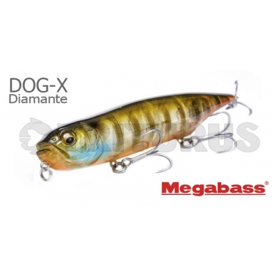 DOG-X DIAMANTE 1 DOG-X DIAMANTE 1