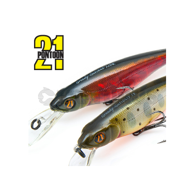 GreedyGuts 66SP-MDR
