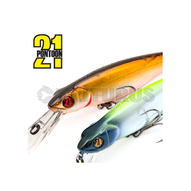 GreedyGuts 88SP-MDR