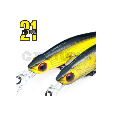 GagaGoon 60SS-MR