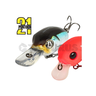 Pontoon21 Baby Red Rag 32F-MDR