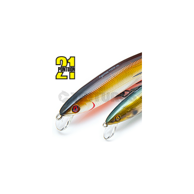 Pontoon21 AGARRON 95F-SR