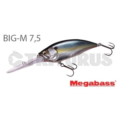 BIG-M 7.5