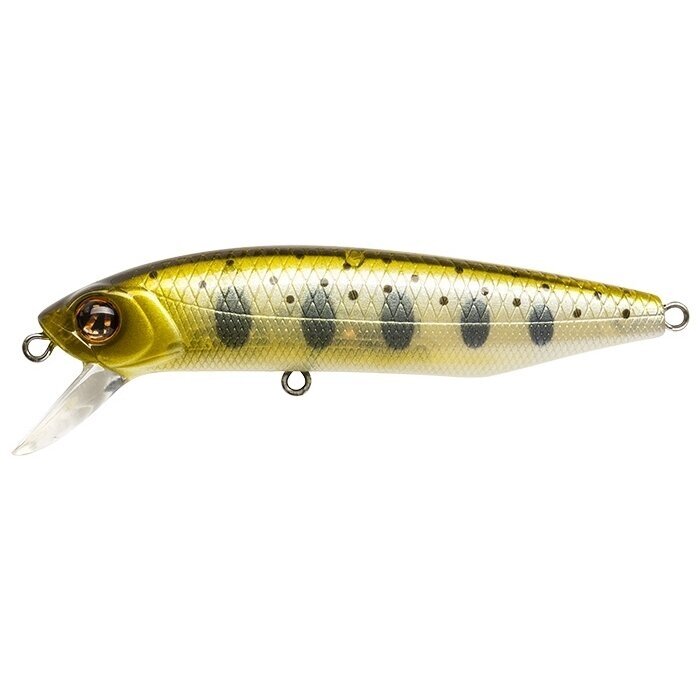 DEXTER MINNOW 93SP-SR 3
