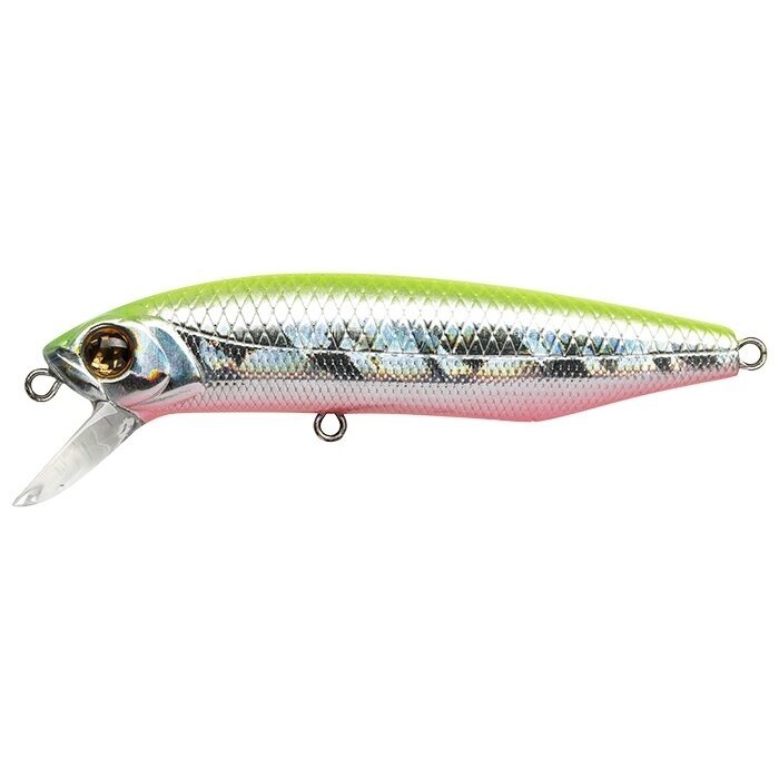 DEXTER MINNOW 93SP-SR 6 DEXTER MINNOW 93SP-SR 6