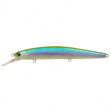 FLIT 12