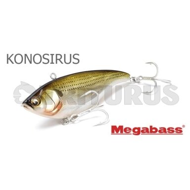 Konosirus