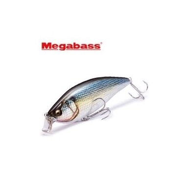 KONOSIRUS SHAD(F)