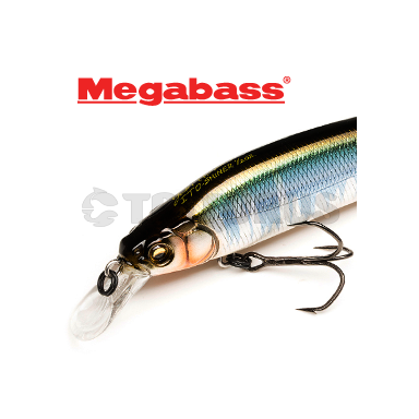 Megabass ITO SHINER