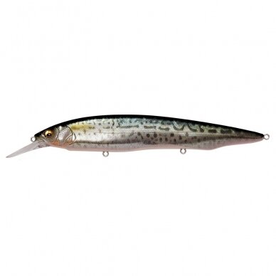 Megabass Kanata +1 19