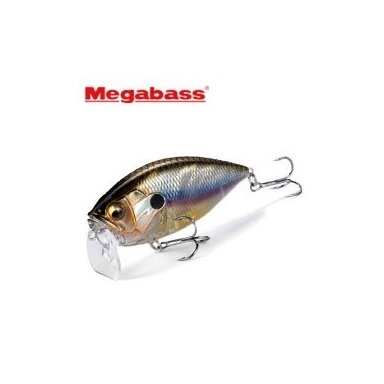 O.R.C BURNING SHAD