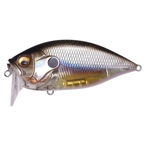 O.R.C BURNING SHAD 2