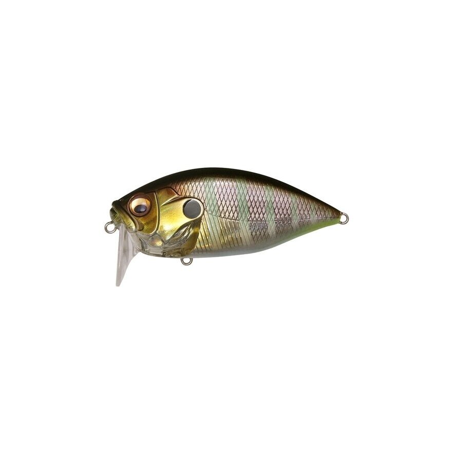 O.R.C BURNING SHAD
