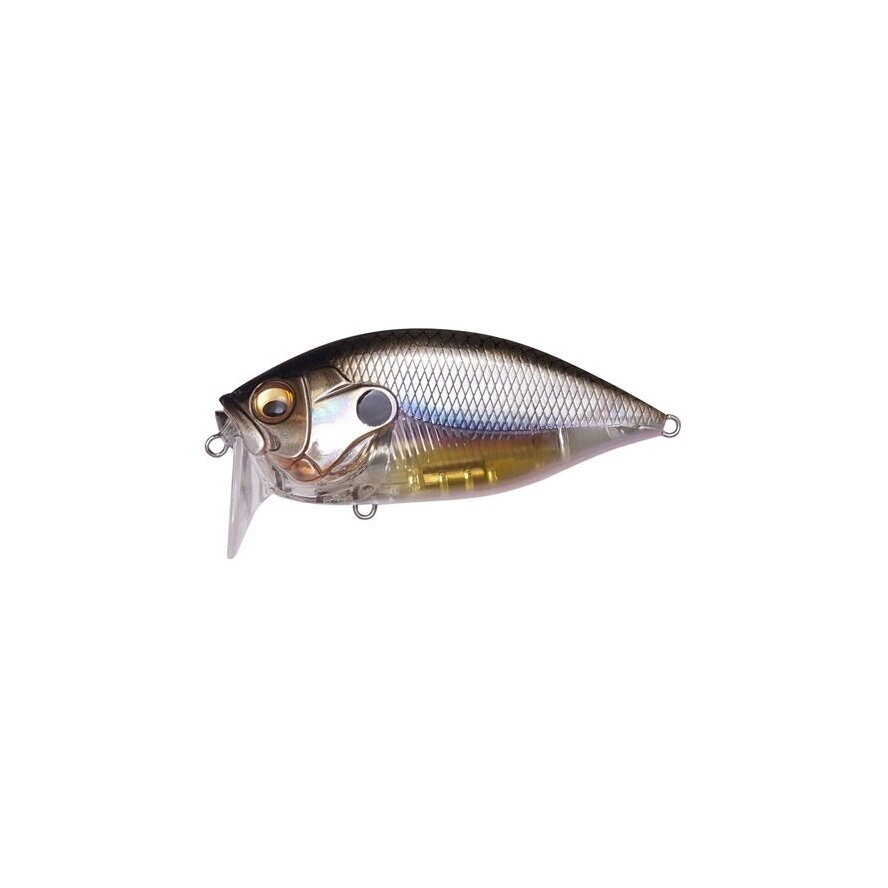 O.R.C BURNING SHAD