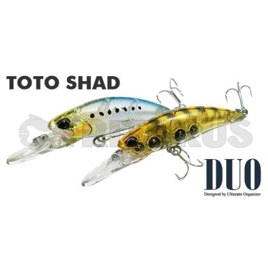 Toto Shad