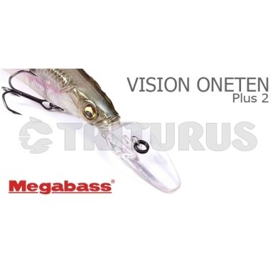 Vision ONETEN R Plus 2