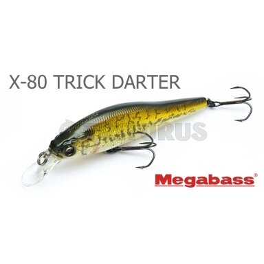 X-80 TRICK DARTER