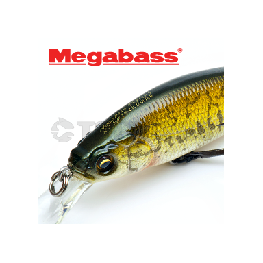 X-80 TRICK DARTER
